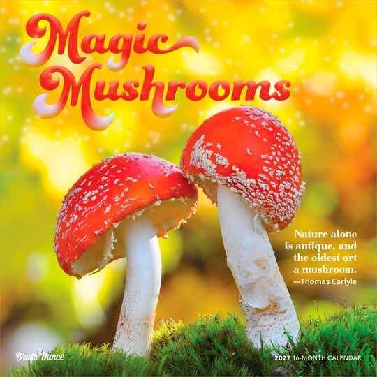 Brush Dance; Magic Mushrooms | 2027 12 x 24 Inch (Hanging) Monthly Square Wall Calendar | Plastic-Free; Category:Wall Calendars; Image:1